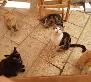 Stadtrundgang Boukari