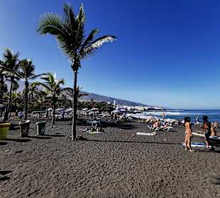 Playa Jardín