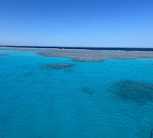 Schnorcheln Makadi Bay