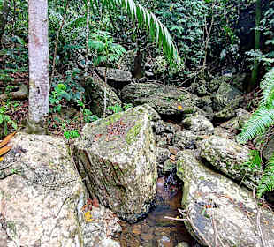 Parque Natural Obô do Príncipe