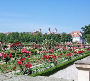 Blühendes Barock