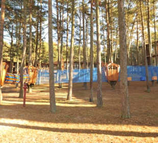 Forest Jump Park Linowy 