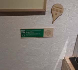 Museum Römer und Bajuwaren