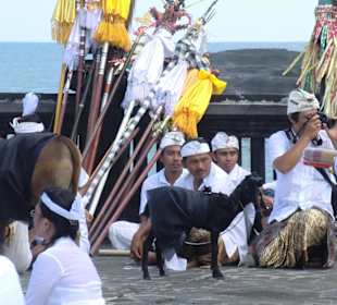 Zeremonie und die Opfergaben