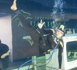 Taucherin macht Werbung für´s Aquarium