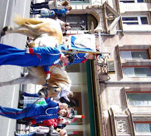 Hist.Königlich-Bay.Artillerie Bürgerwehr