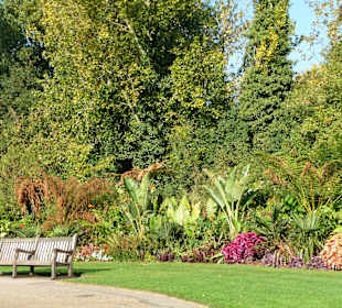 Regent's Park