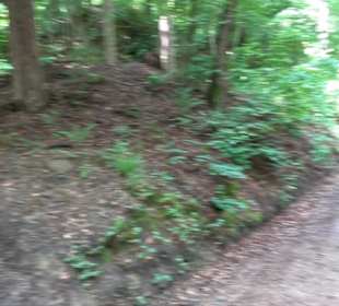 Wanderweg - Alter Steinbruch Pfaffenberg Runde