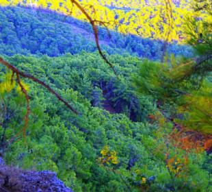 Sulahikulle - Vergessene Stadt