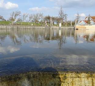 Wasserloch von Neuharlingersiel