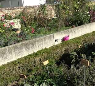 Klostergarten - Garten der Pilger Oberelchingen