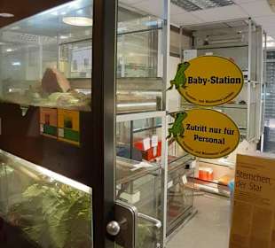 Reptilium in Landau in der Pfalz