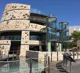 Aquarium Sant Jordi