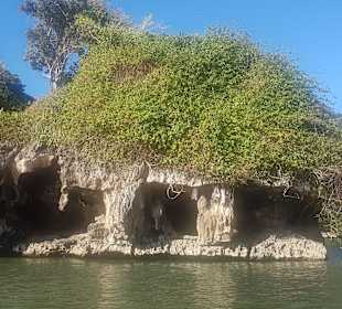 Los Haitises Nationalpark	