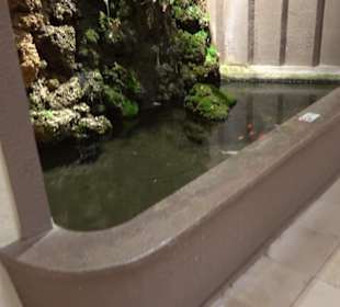 Tierpark Hellabrunn - Fische