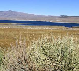 Mono Lake