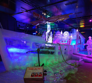 In der Eiswelt