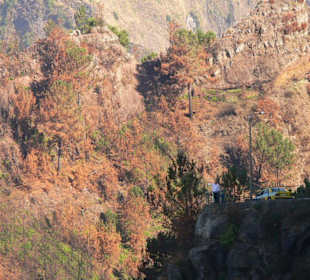 Auf dem Weg ins Nonnental