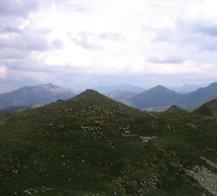 Tatry
