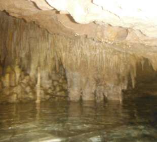 Die schönheit einer cenote