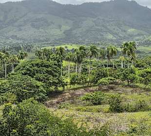 Nicht nur das Adrenalin kam auf seine kosten❤️