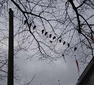 Jungfernstieg