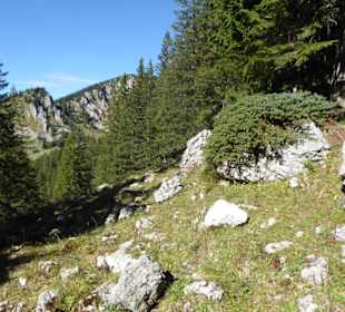 Rundwanderung Spitzingsattel