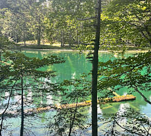 Wandern Hermagor - Pressegger See