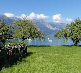 Tolle Lage am Brienzer See