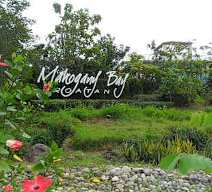 Hafenbereich von Roatan