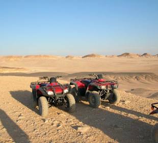 Quadtour Ocean View