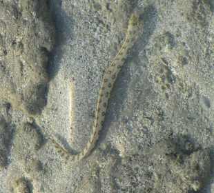 Фото с пирса