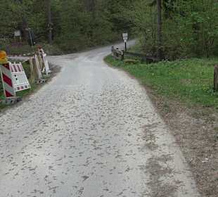 Walderlebnisweg Rottenburg