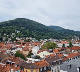 Aussicht auf Heidelberg