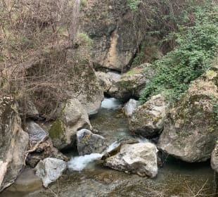 Bachlauf