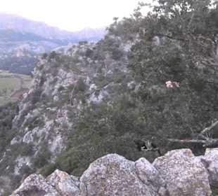 Hügel der Geheimnisse 