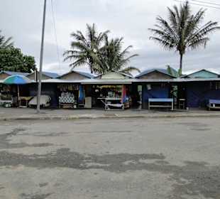 Ausflug Wildfife Expeditions- Rastplatz