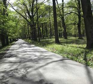 Wanderweg Hochgehwachsen