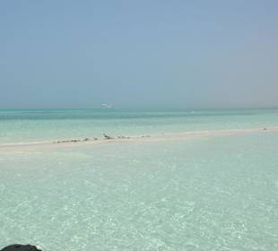 Sandbank mitten im Roten Meer