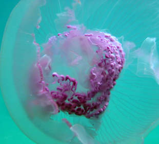 Interessante Innenansicht