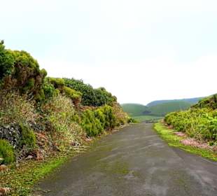 Inselrundfahrt Terceira