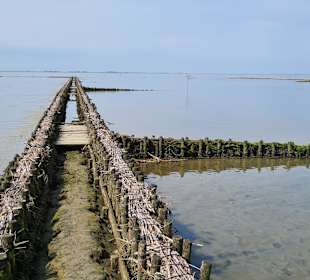 Wandern Emmelsbüll-Horsbüll