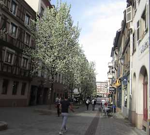 Altstadt Straßburg im Frühling