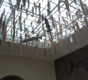 Tierpark Hellabrunn - Fische