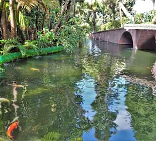 Rundgang durch den Monte Palace Tropical Garden