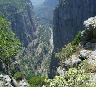 Autos dürfen selber gefahren werden