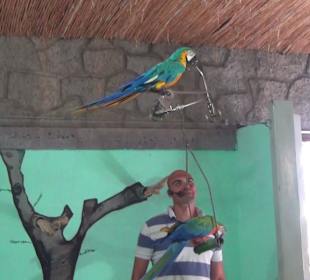 Guinitate Tropical Park