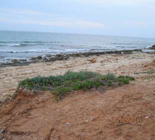 Strand vom Kyknos Beach