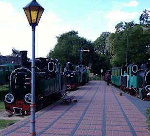 Muzeum kolejki wąskotorowej