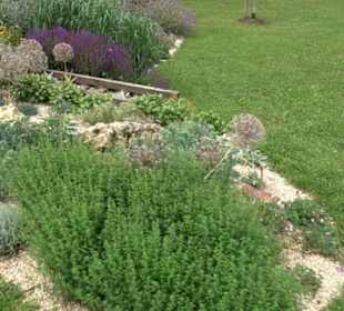 Blühendes Neresheim 2021